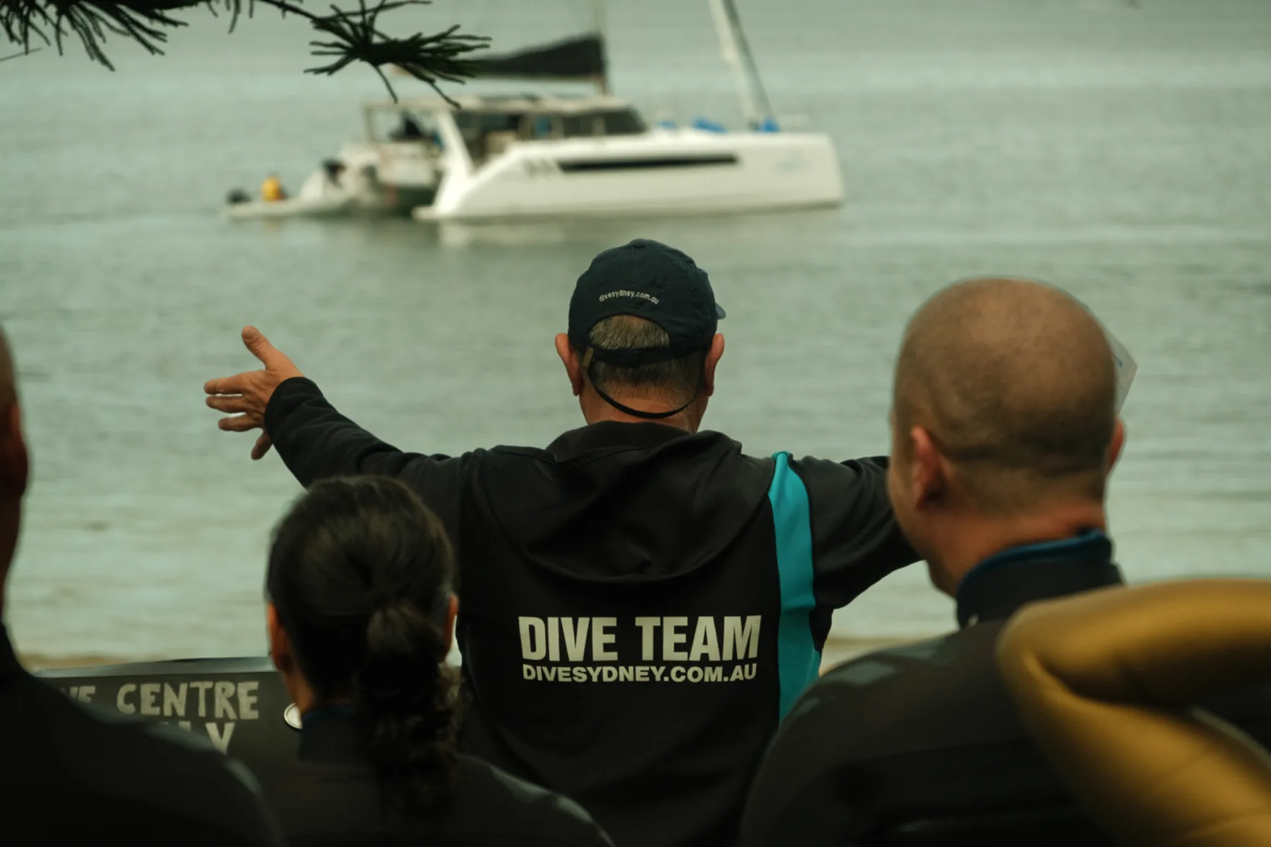 Dive Agains Debris-DCM