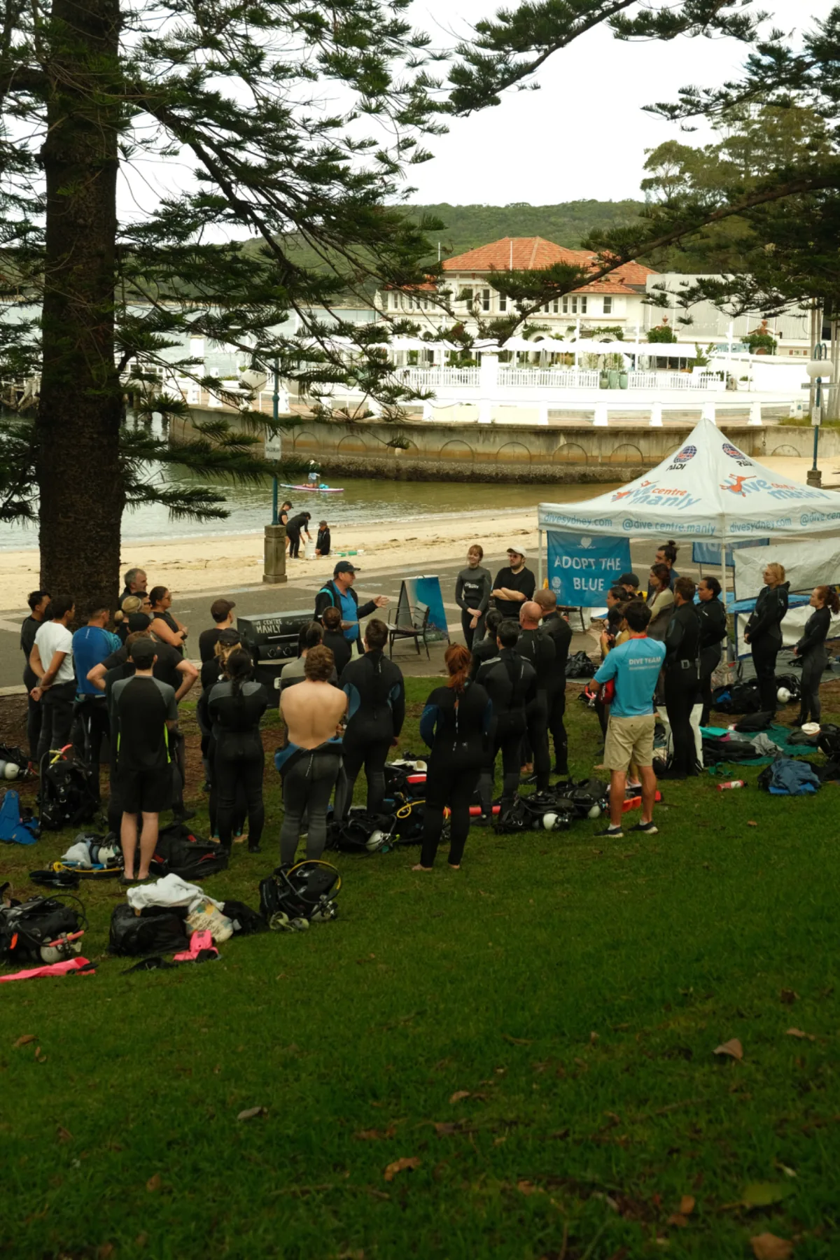 Dive Agains Debris-DCM