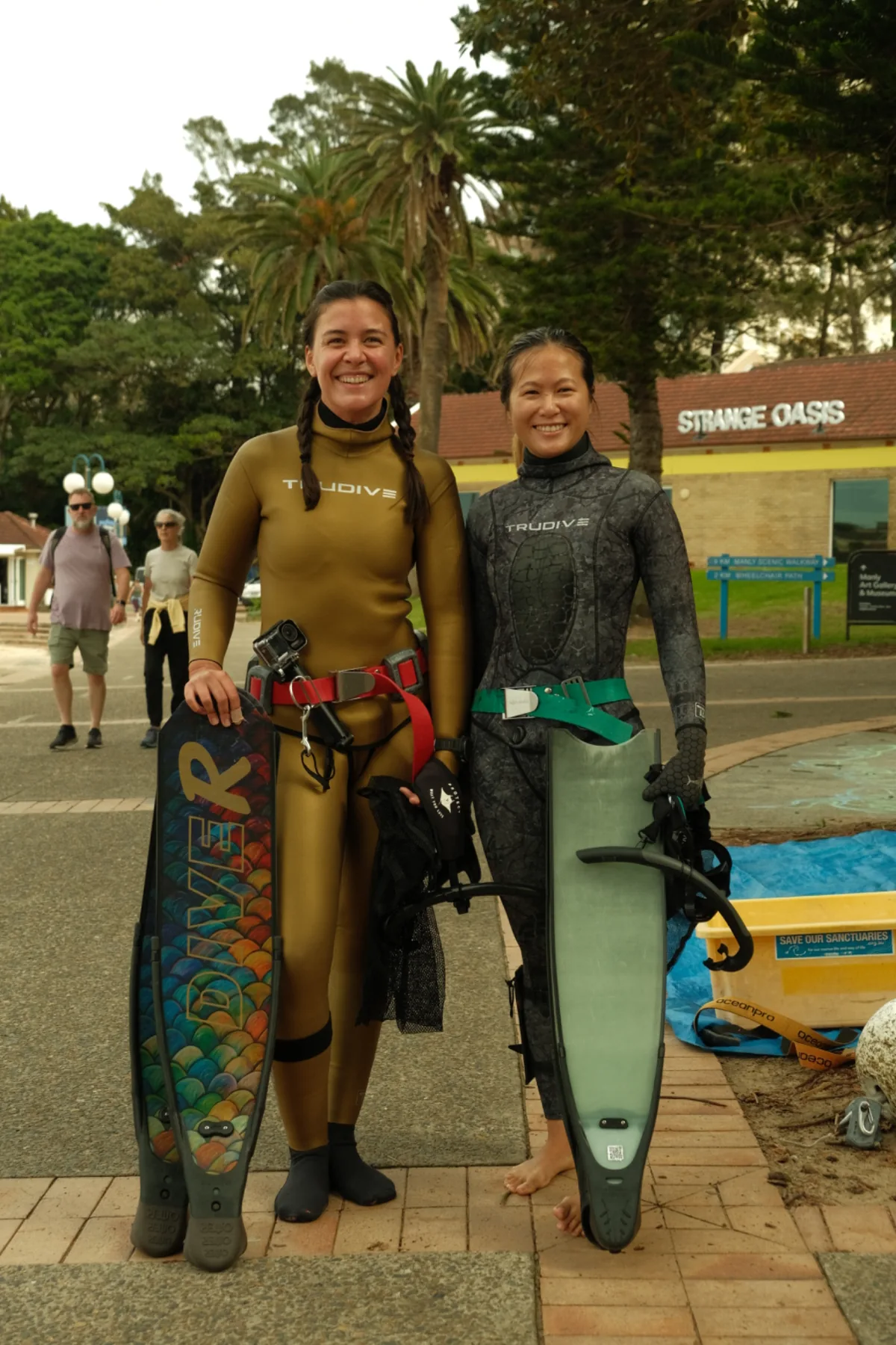Dive Agains Debris-DCM