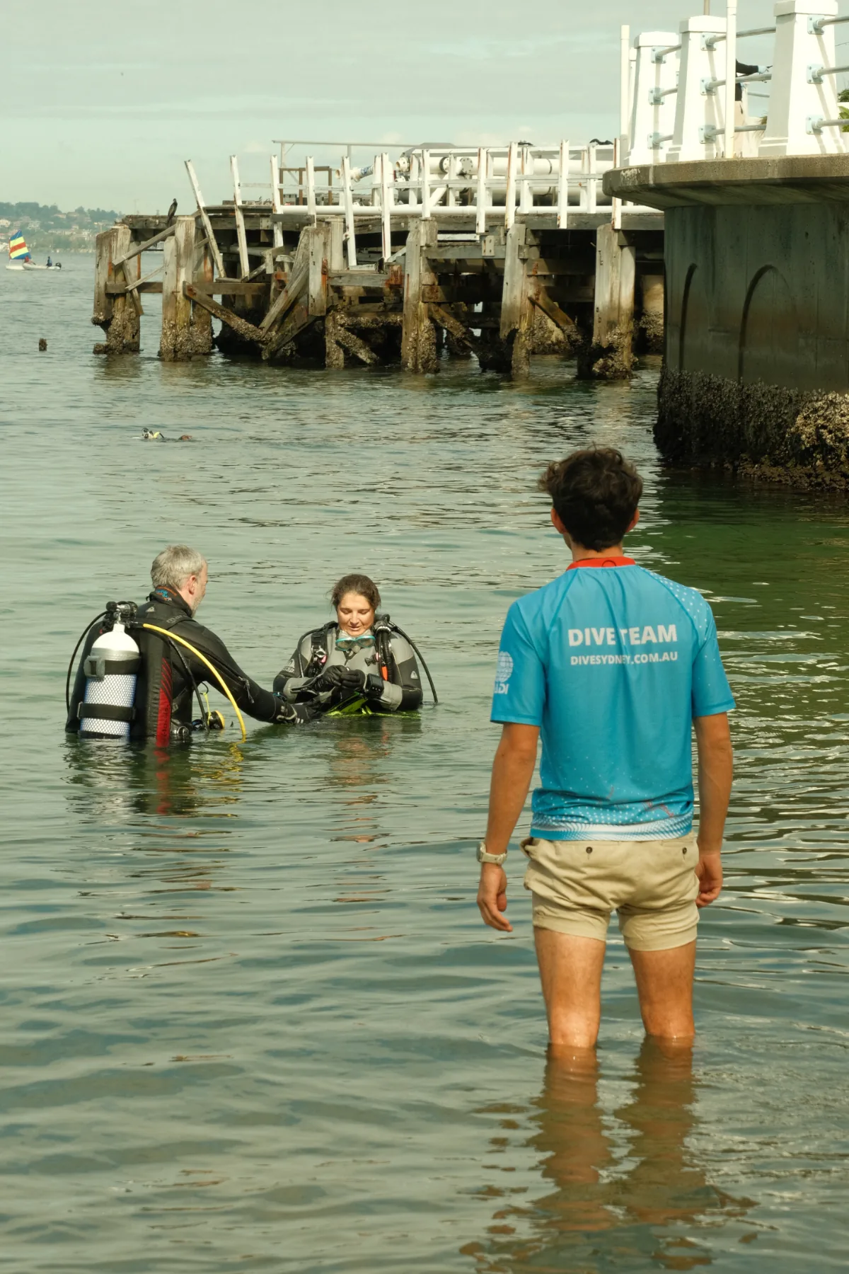Dive Agains Debris-DCM