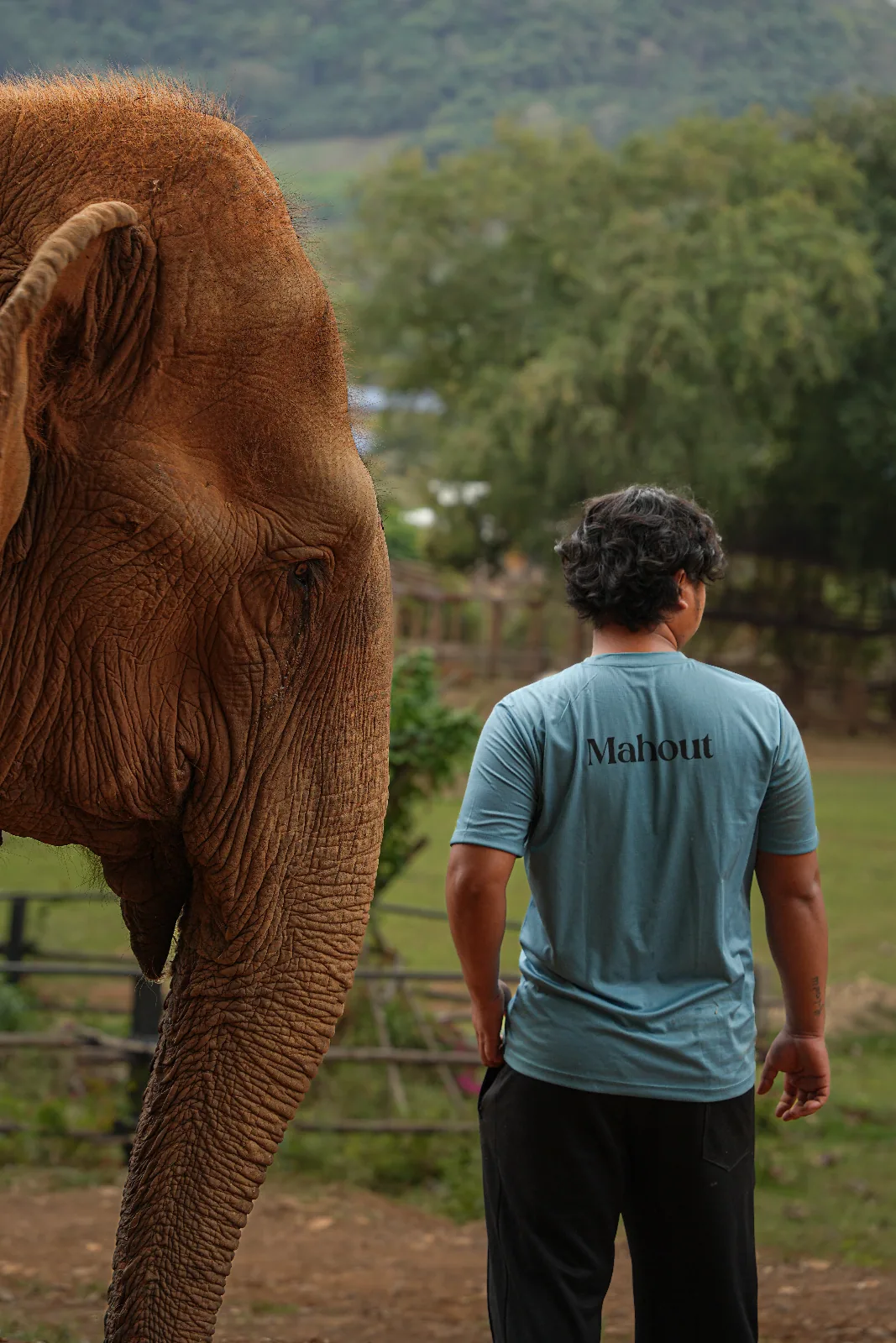 Elephant Nature Park