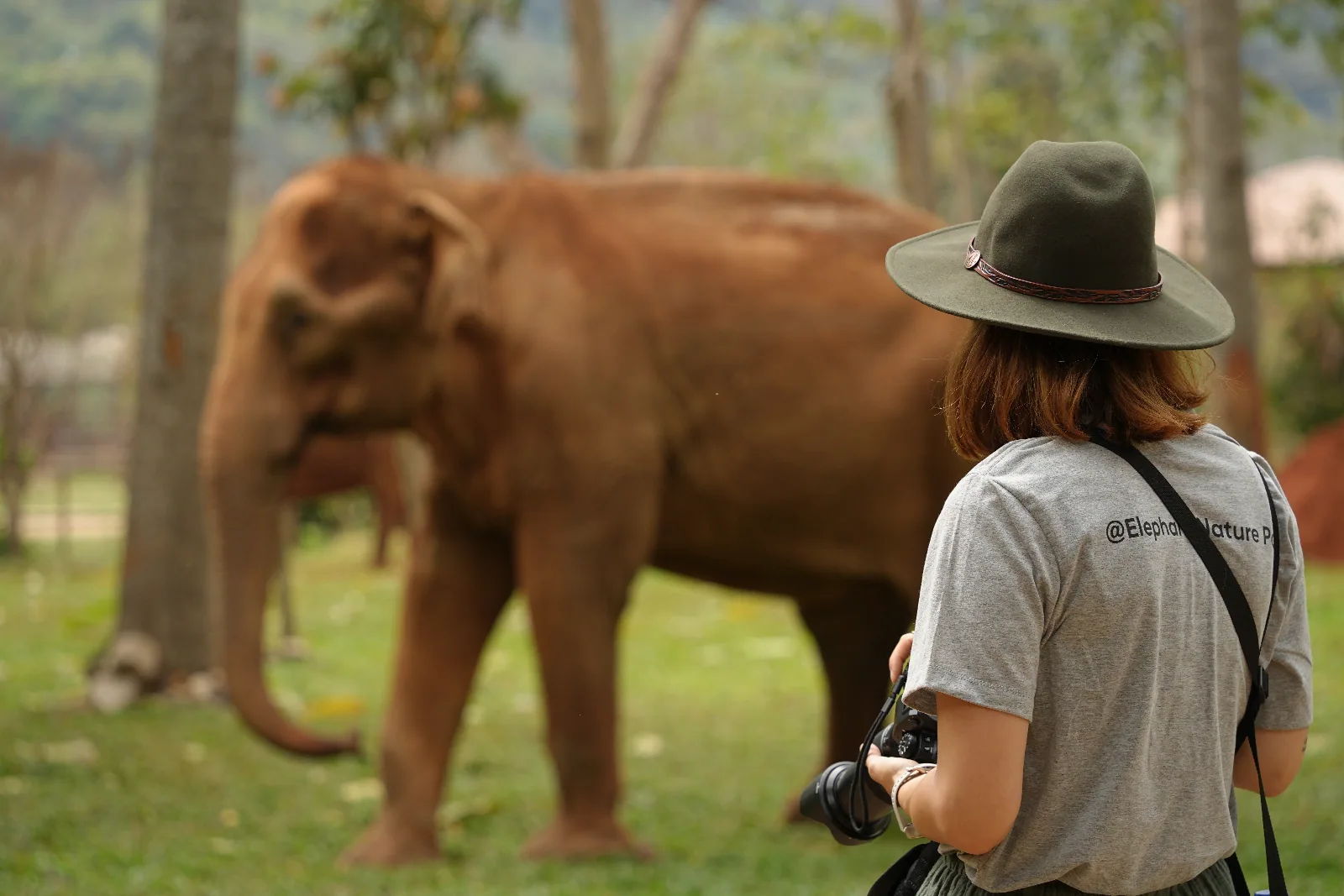 Elephant Nature Park