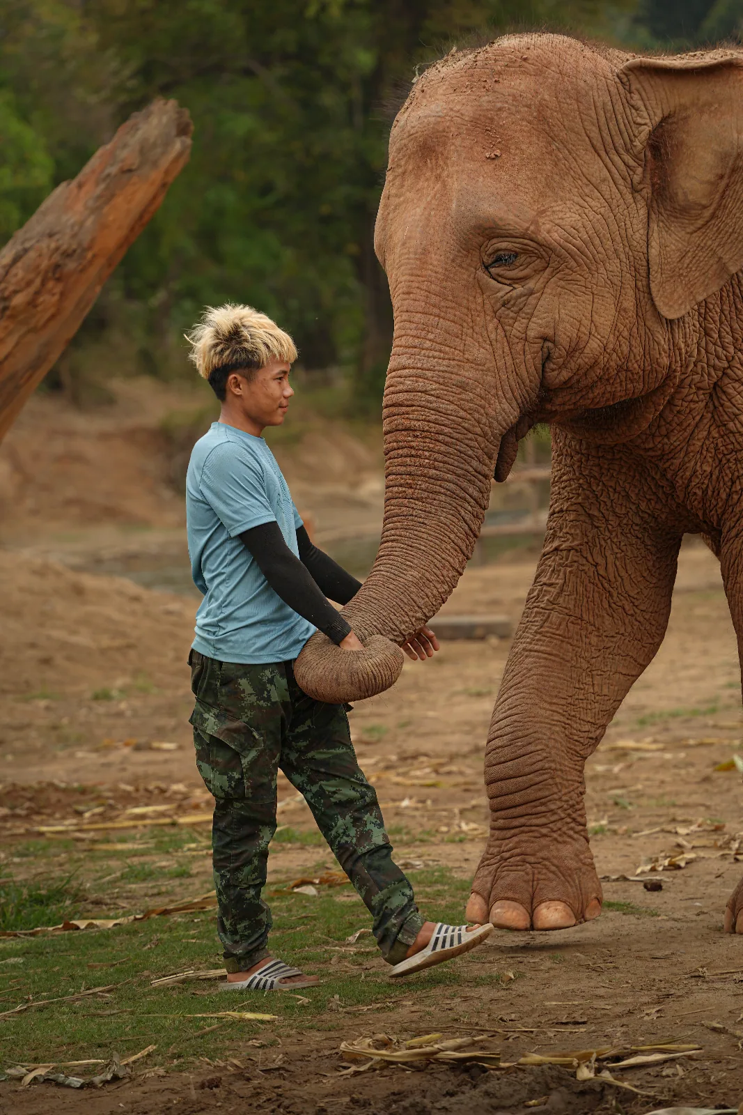 Elephant Nature Park
