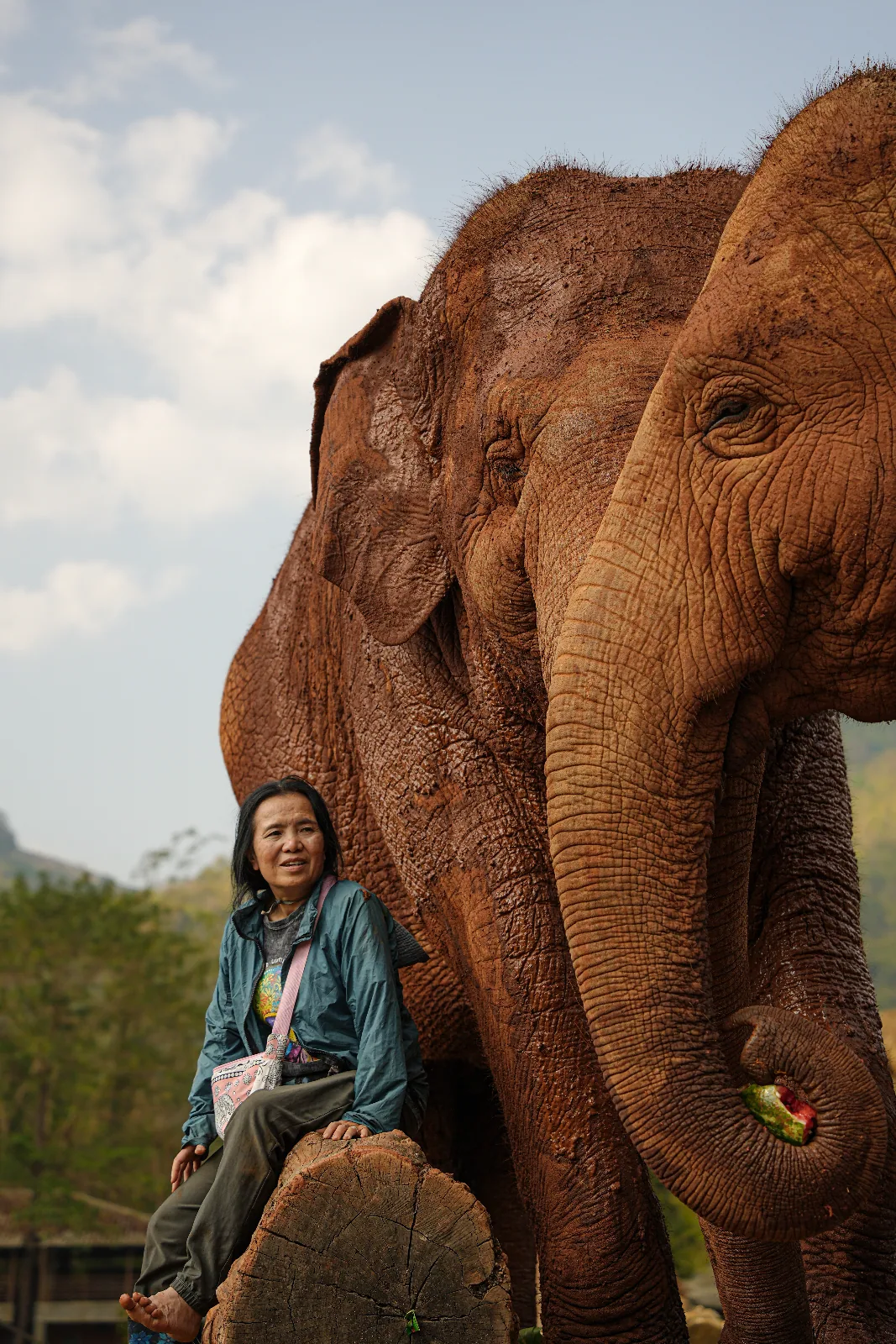Elephant Nature Park
