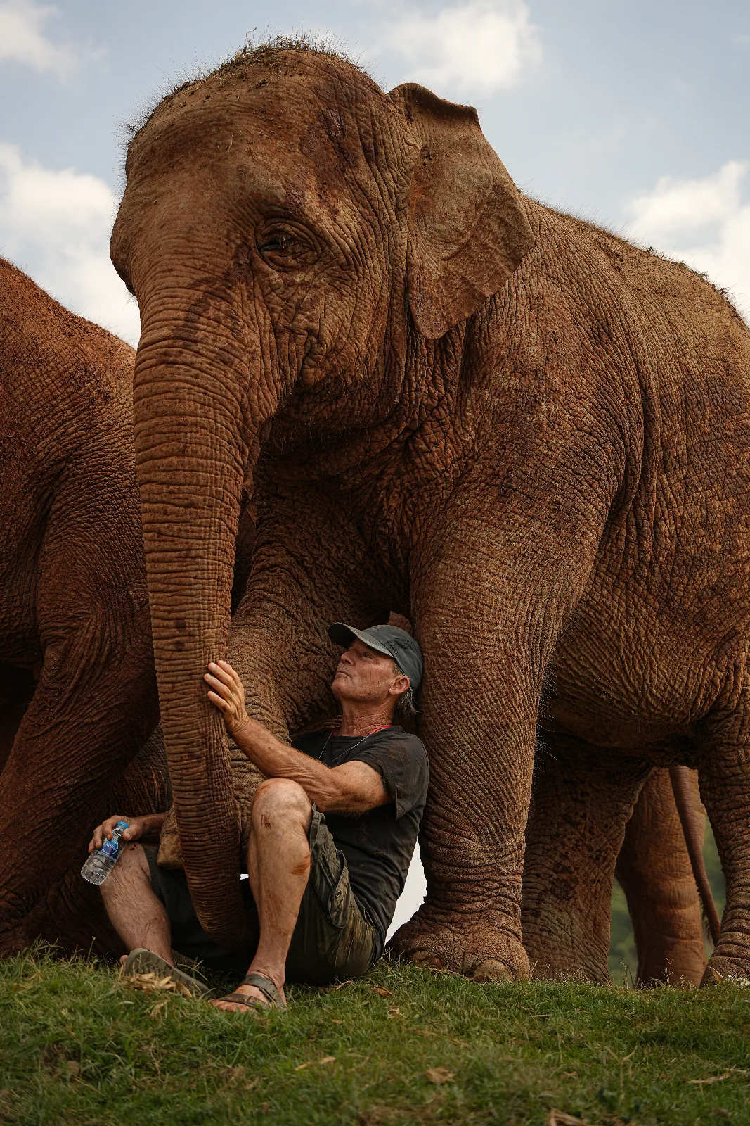 Elephant Nature Park