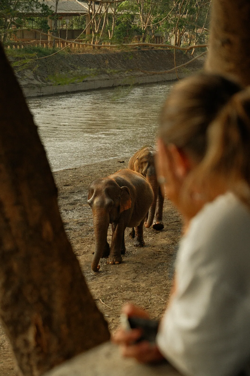 Elephant Nature Park