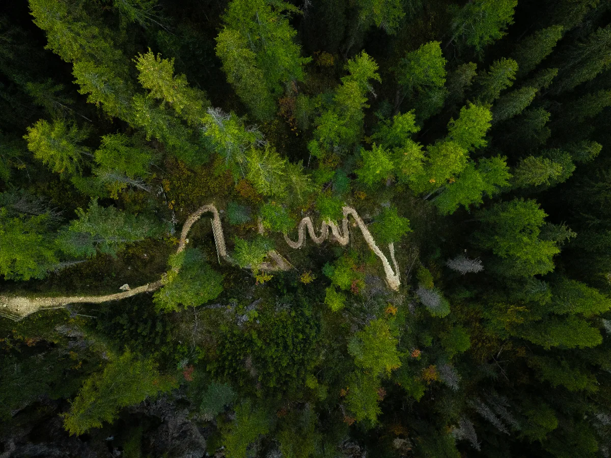 Snake Road
