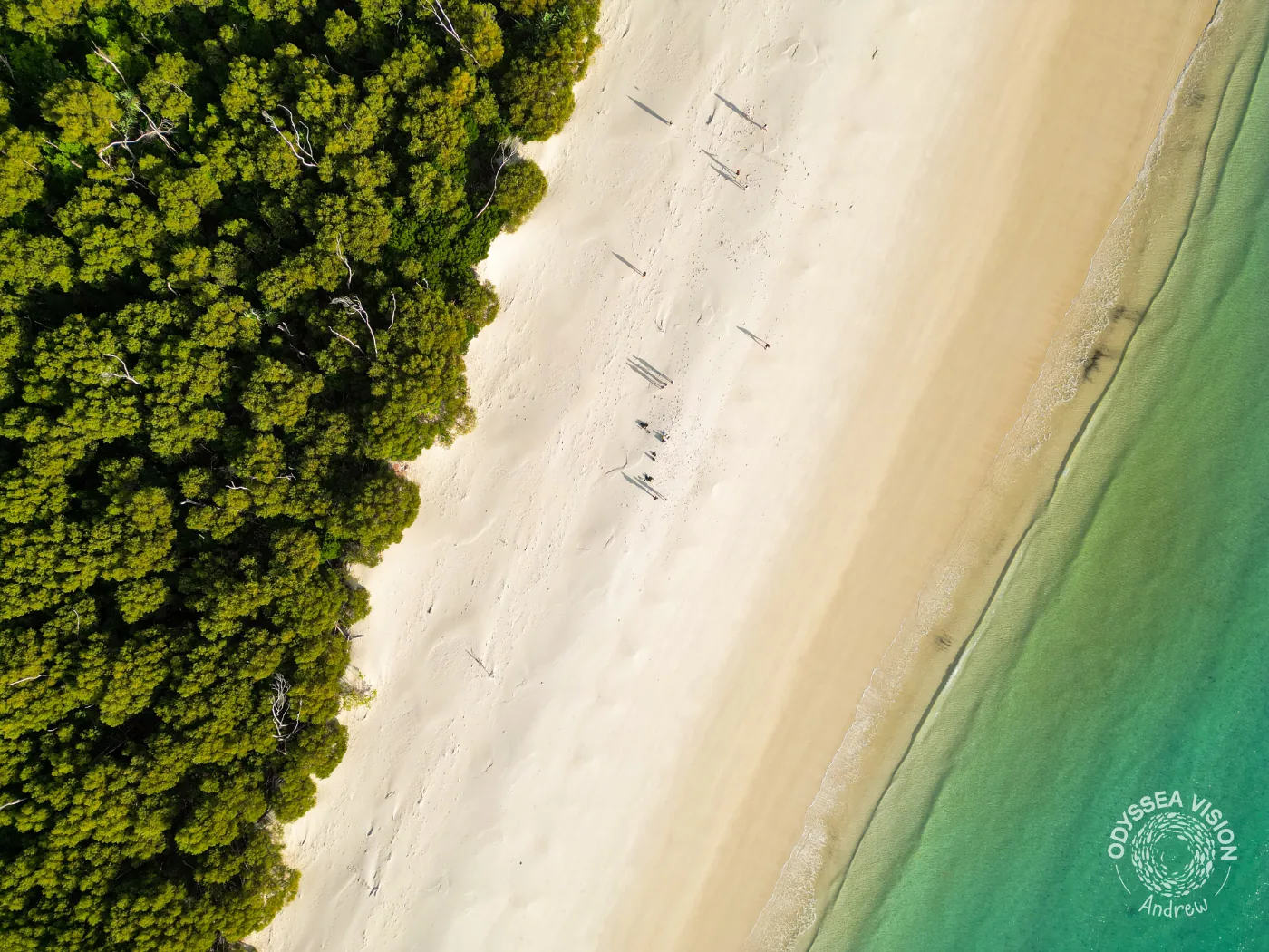 dji fly 20240709 080042 855 1720513631875 photo